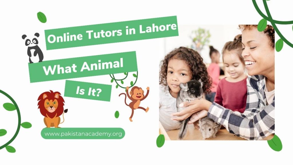 Online Tutors in Lahore with Pakistan Academy