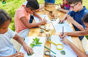 Summer-Camp-Activities